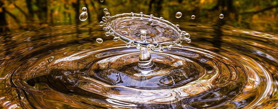 La fontaine de jouvence - image