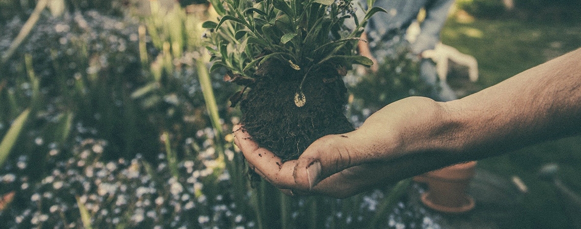 8 conseils pour une entreprise plus écologique - image