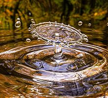 La fontaine de jouvence - image