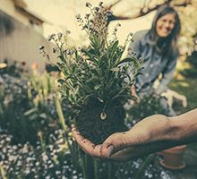 8 conseils pour une entreprise plus écologique - image vignette