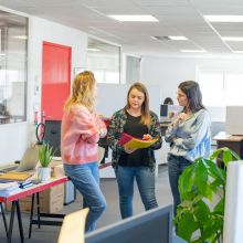 Office manager : un job crucial pour créer un environnement de travail agréable dans vos bureaux ! - image